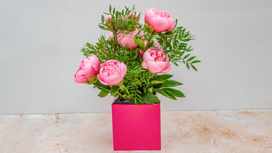 PEONY POP